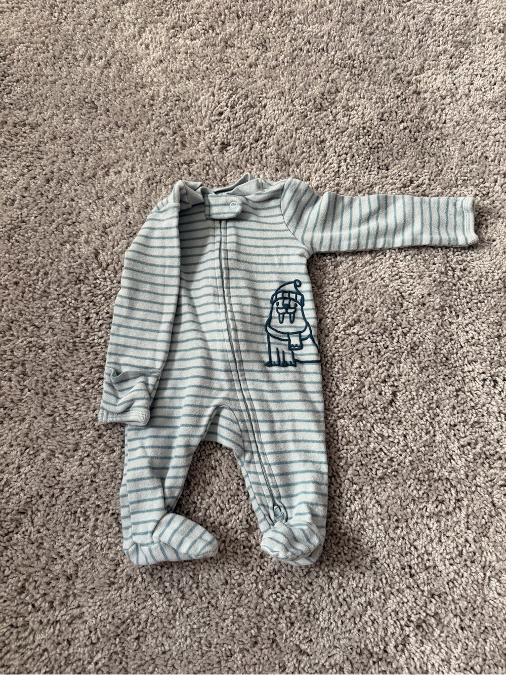 Newborn Sleeper